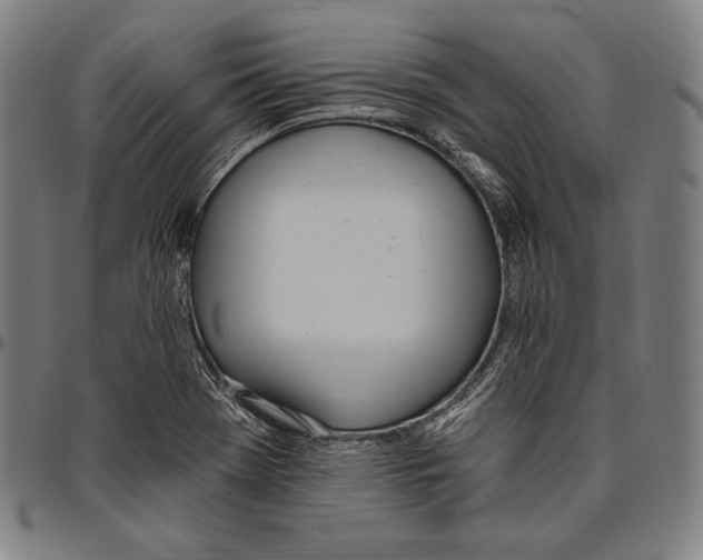 X0000096491369200802211227