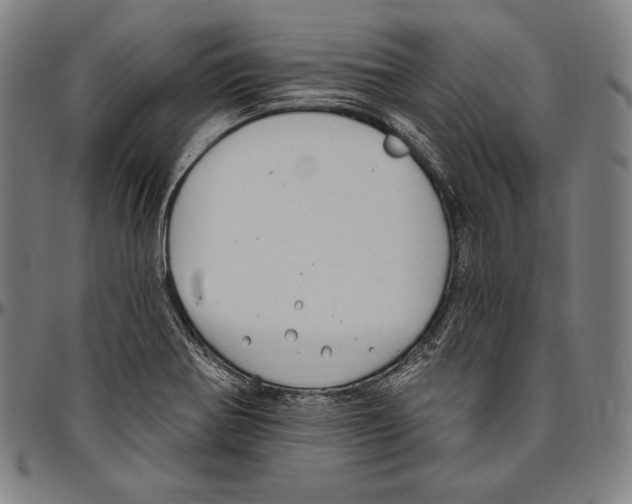 X0000096491370200802211227