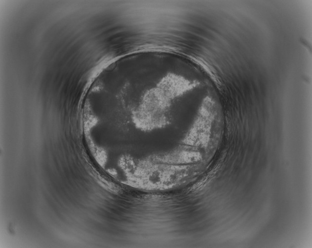 X0000096491371200802211227