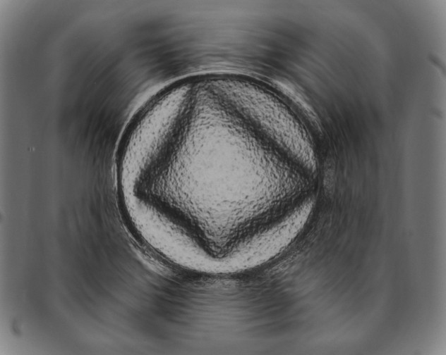 X0000096491372200802211227