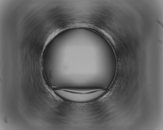 X0000096491373200802211227