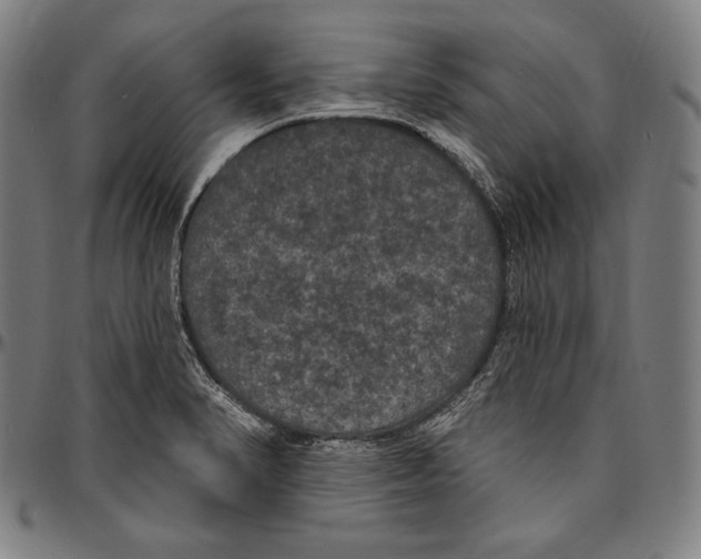 X0000096491374200802211227