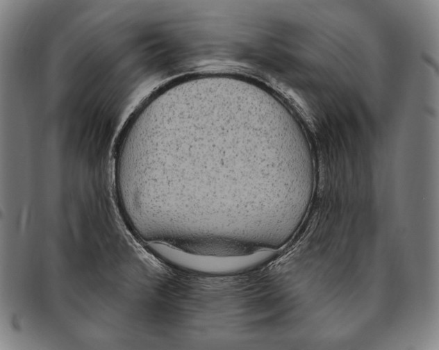 X0000096491376200802211227