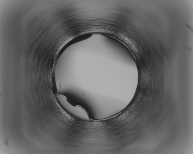 X0000096491377200802211227