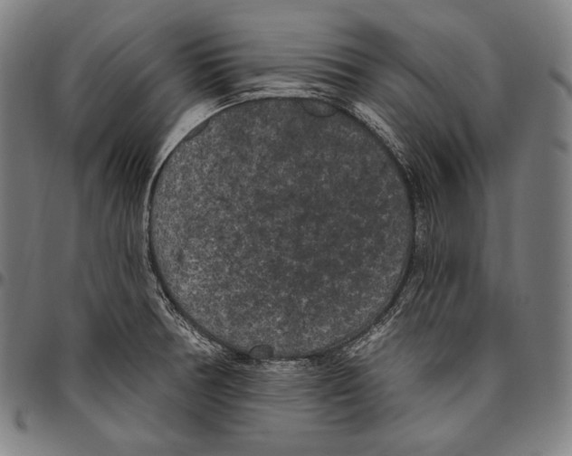 X0000096491378200802211227