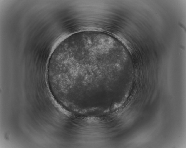 X0000096491379200802211227