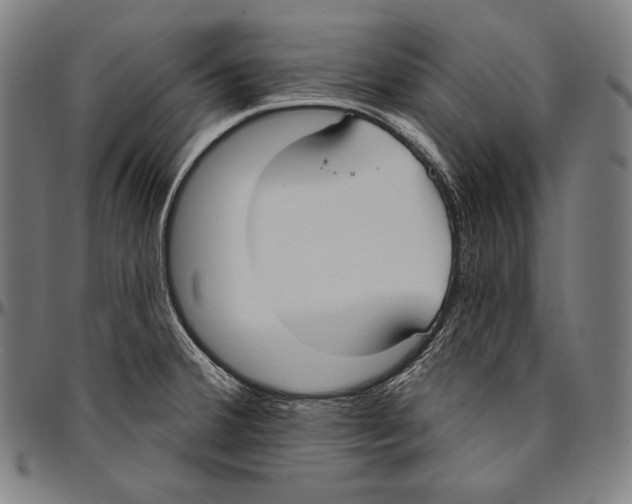 X0000096491380200802211227