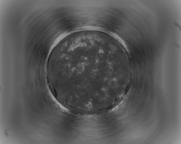 X0000096491381200802211227