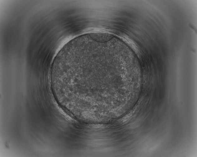 X0000096491382200802211227