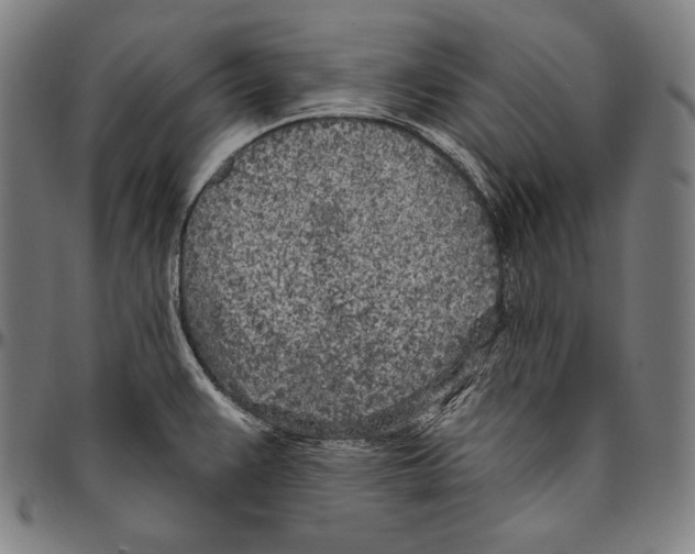 X0000096491383200802211227