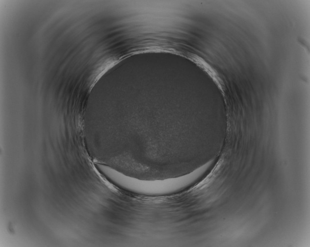 X0000096491385200802211227