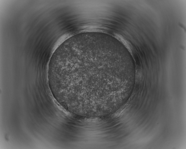 X0000096491386200802211227