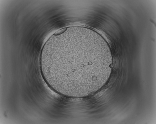 X0000096491387200802211227