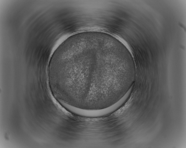 X0000096491389200802211227