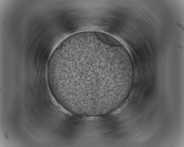 X0000096491390200802211227