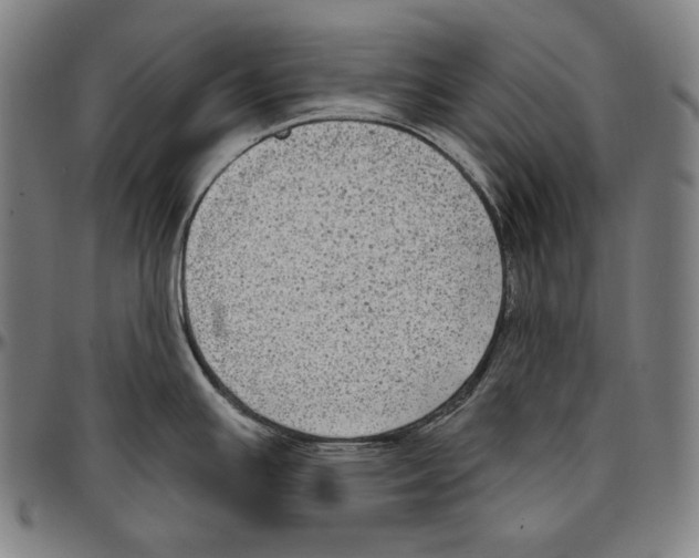 X0000096491391200802211227