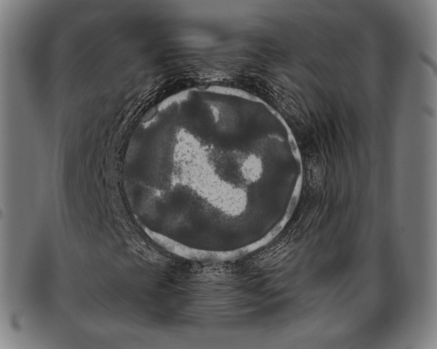 X0000096491393200802211226