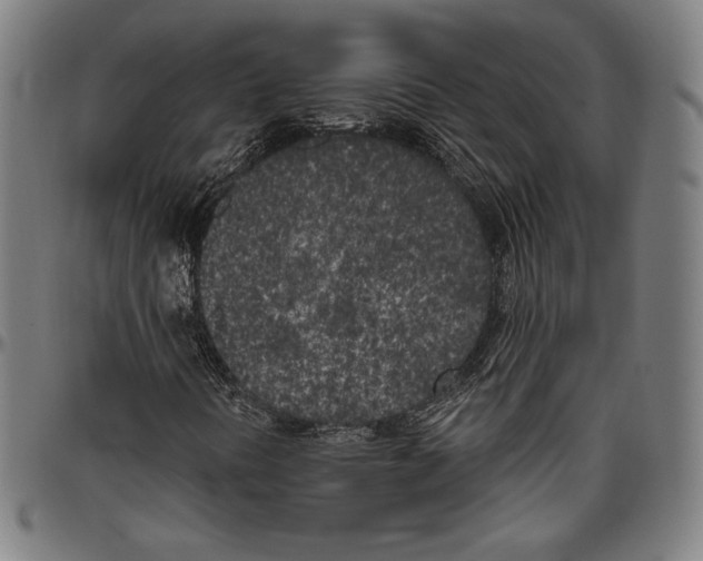 X0000096491394200802211226