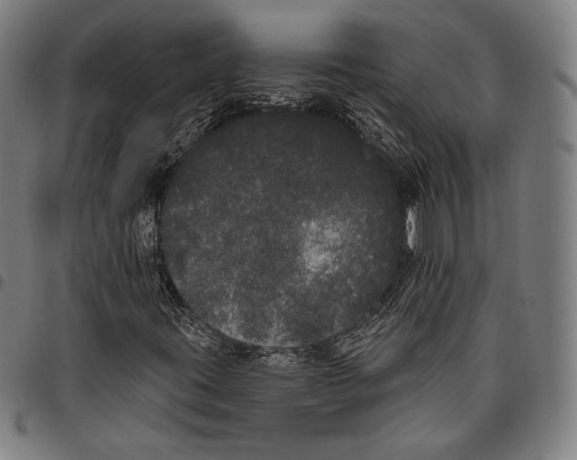 X0000096491395200802211227