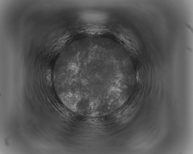 X0000096491396200802211227