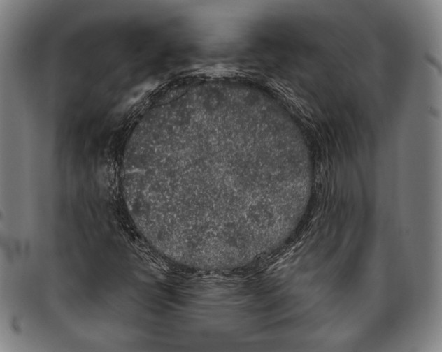 X0000096491398200802211227