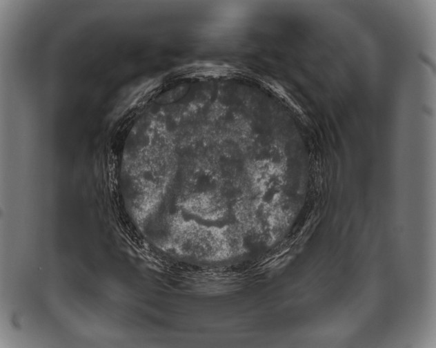 X0000096491399200802211227