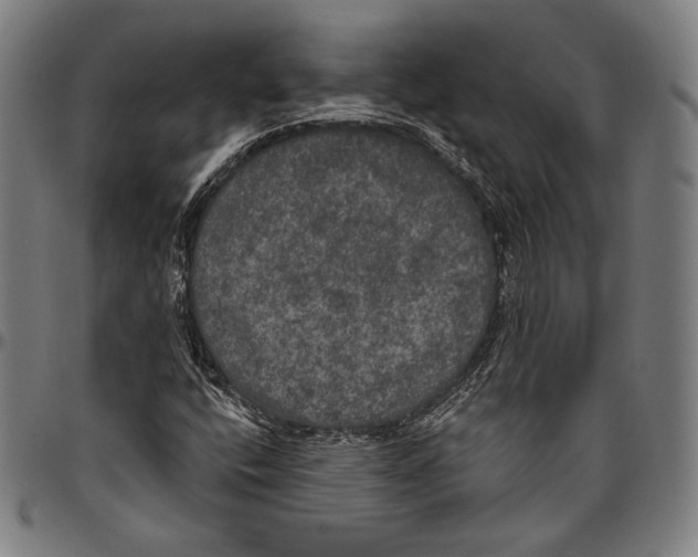 X0000096491400200802211227