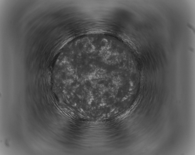 X0000096491401200802211227