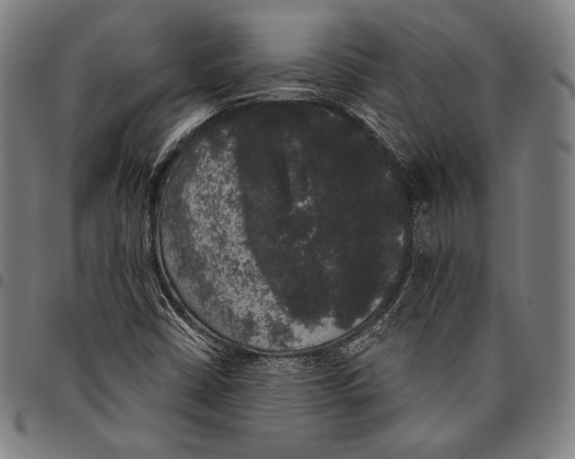 X0000096491402200802211227