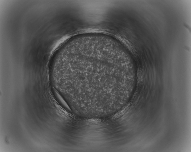 X0000096491406200802211227