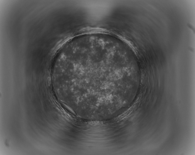 X0000096491407200802211227