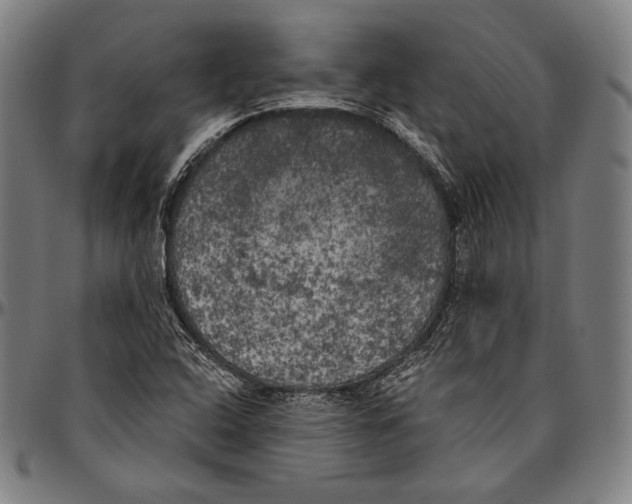 X0000096491408200802211227