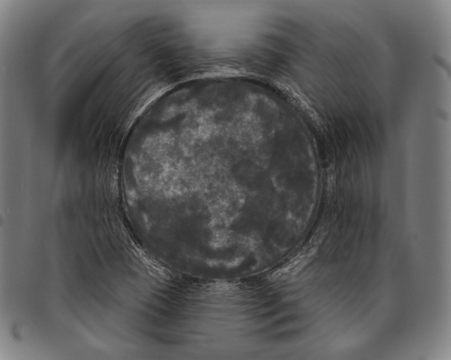 X0000096491409200802211227