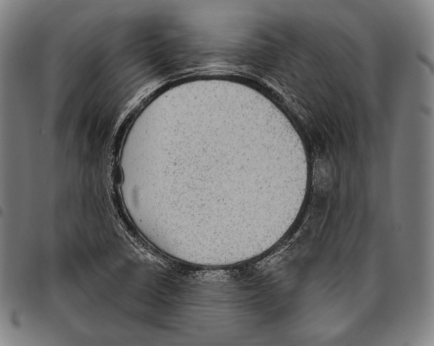 X0000096491410200802211227