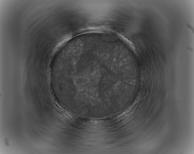 X0000096491411200802211227