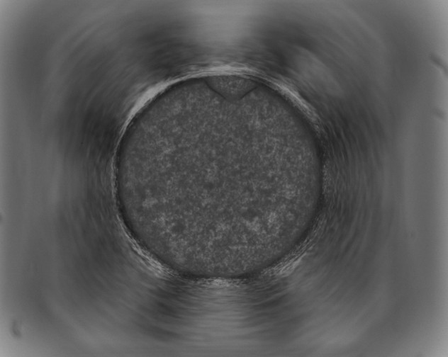 X0000096491412200802211227