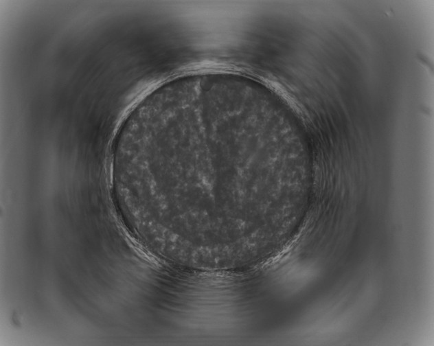 X0000096491413200802211227