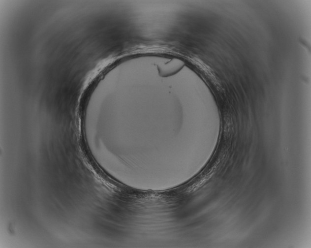 X0000096491414200802211227