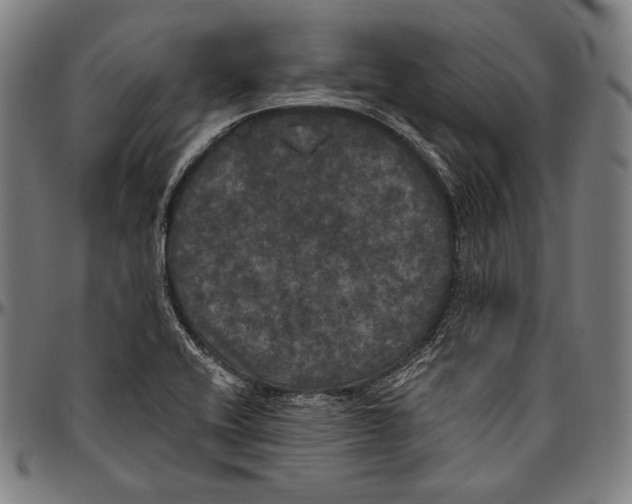 X0000096491416200802211227