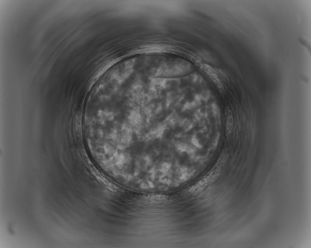 X0000096491417200802211227