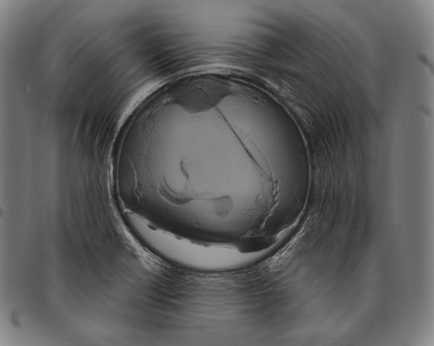 X0000096491418200802211227