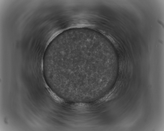 X0000096491420200802211227