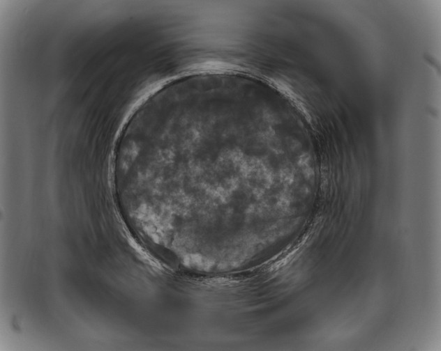 X0000096491421200802211227