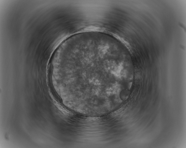 X0000096491423200802211227