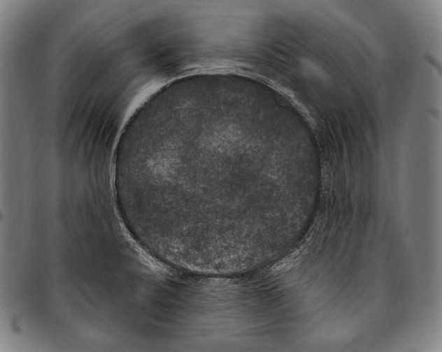 X0000096491424200802211227