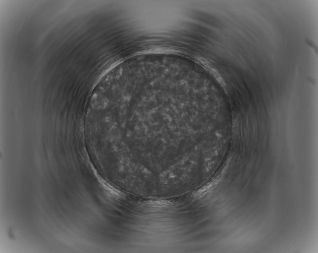 X0000096491425200802211227