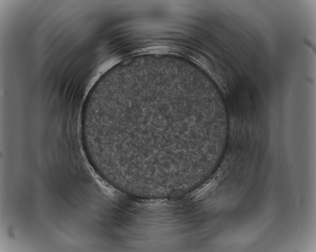 X0000096491426200802211227