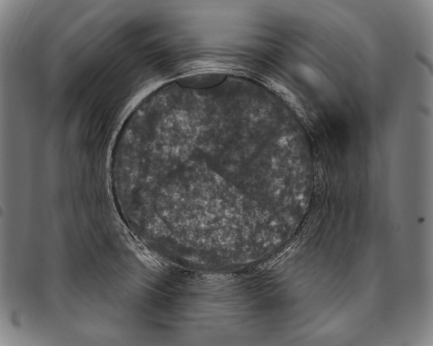 X0000096491427200802211227