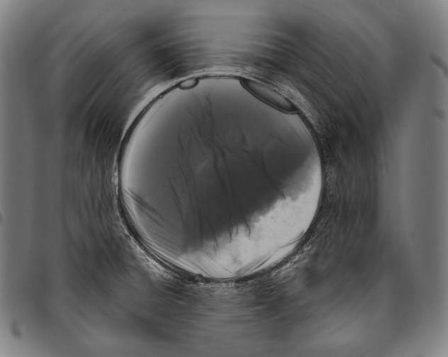 X0000096491428200802211227