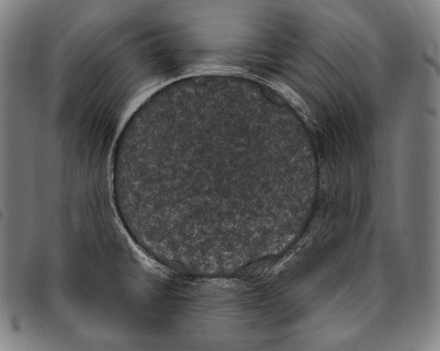 X0000096491430200802211227